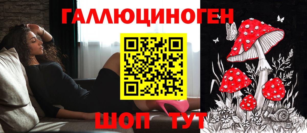 Псилоцибиновые грибы Cubensis Чехов