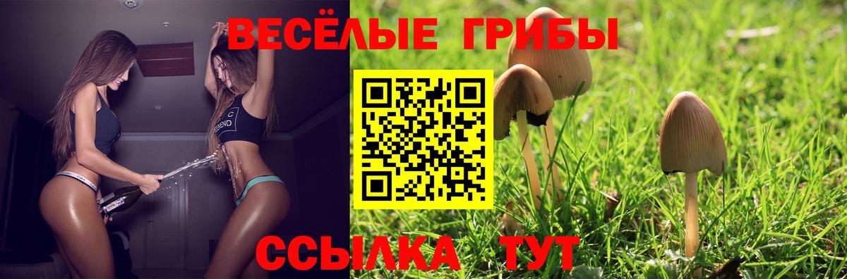 Псилоцибиновые грибы мицелий  Вход с VPN  Чехов 